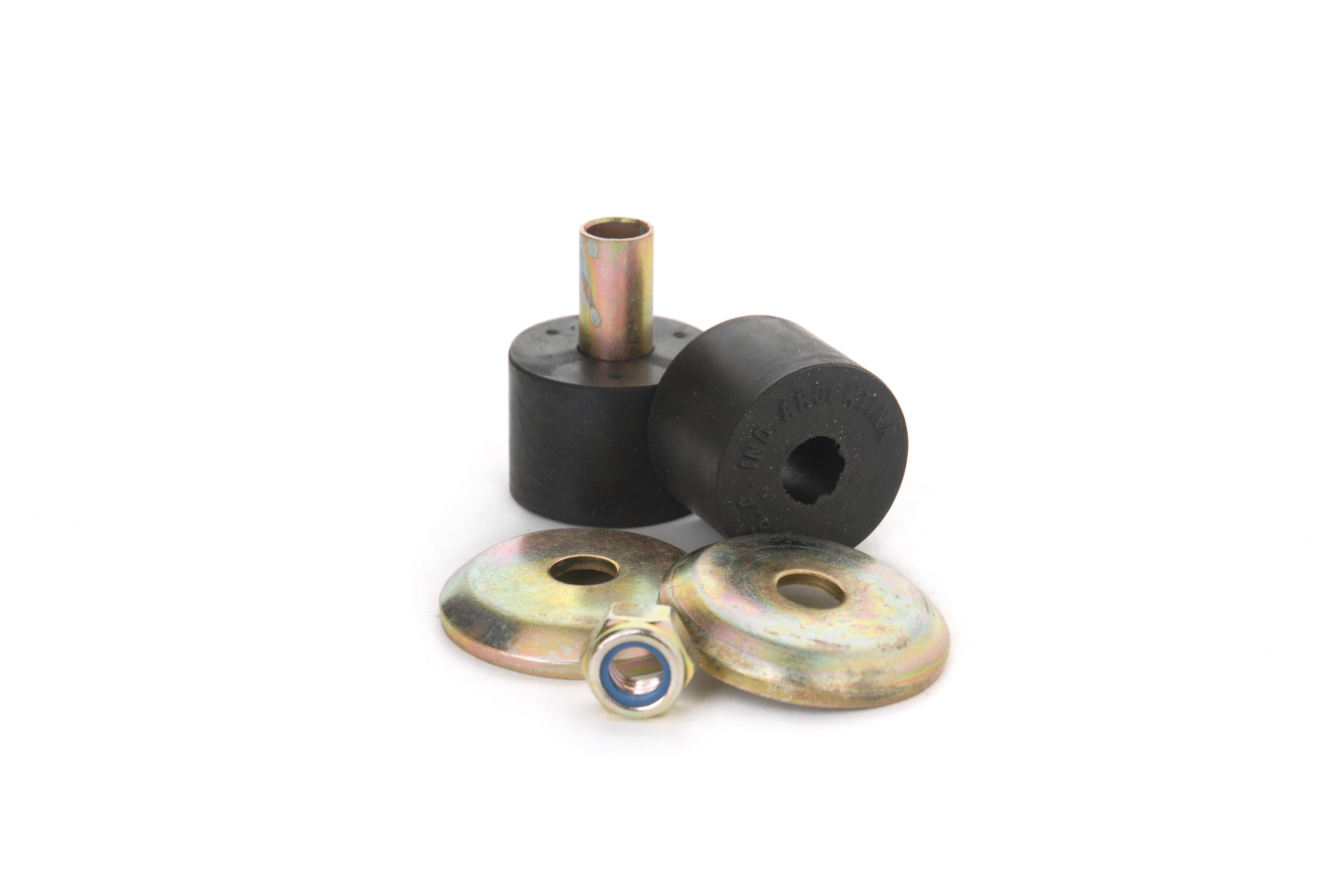 foto de IC229