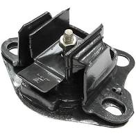 foto de IR81-05427